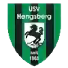 USV Hengsberg