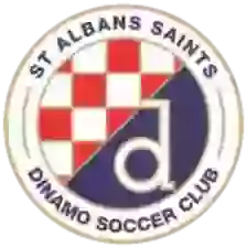 St Albans Saints