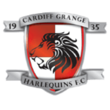 Cardiff Grange Harlequins
