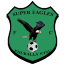 Super Eagles