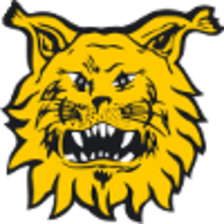 Ilves II (F)