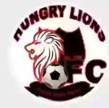 Hungry Lions