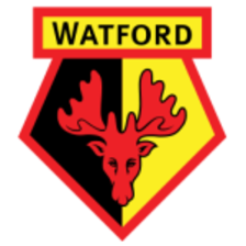 Watford LFC (Nữ)