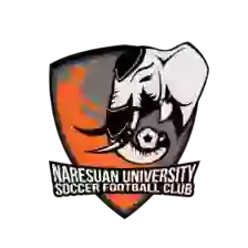 Naresuan University