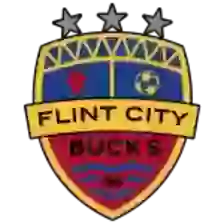 Flint City Bucks
