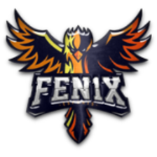 Fenix Ivanovo