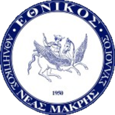 Ethnikos Neas Makris