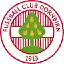 Dornbirn 1913