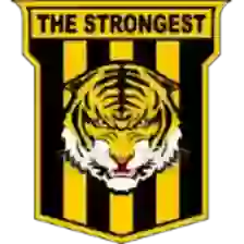 The Strongest