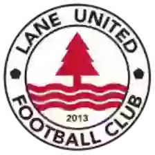 Đội bóng Lane United FC
