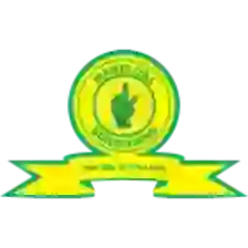 Mamelodi Sundowns