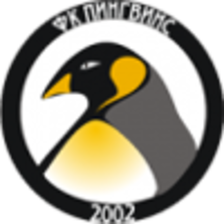 Đội Pinguins Saint Peterburg