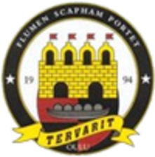 Tervarit
