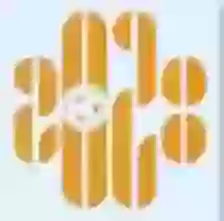Thẩm Quyến 2028