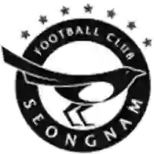 Seongnam Ilhwa Chunma