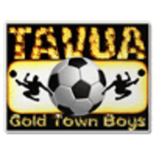 Tavua