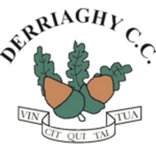 Derriaghy Cc FC