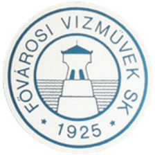 Fovarosi Vizmuevek