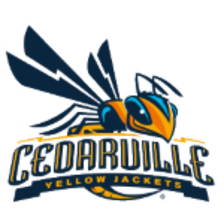 Đội bóng Cedarville Yellow Jackets