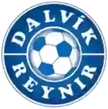 Dalvik Reynir