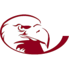 Lock Haven Bald Eagles