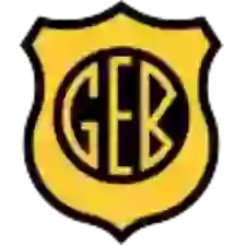 GE Bage