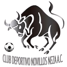 Deportivo Novillos Neza