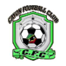 Cayon Rockets