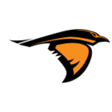 Anderson Ravens