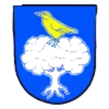 TJ Prazmo Raskovice