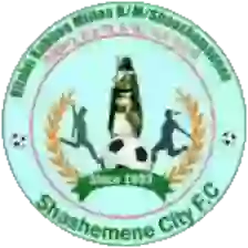 Shashemene City