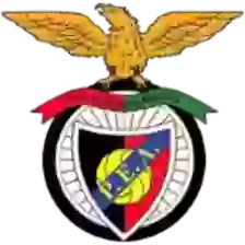 Penya Encarnada d'Andorra