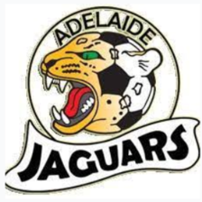 Adelaide Jaguars (Nữ)