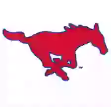 Sang Mustang