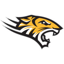 Towson Tigers (Women)