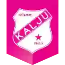 Nomme Kalju