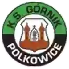 Gornik Polkowice