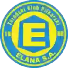 Elana Torun