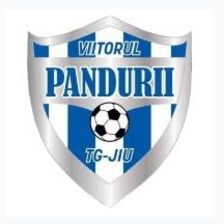 Viitorul Pandurii Târgu Jiu U19