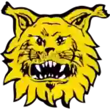 Ilves