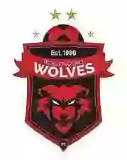 Wollongong Wolves