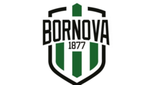 Viven Bornova FK