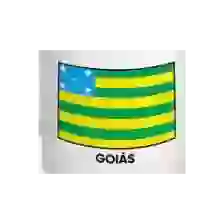 U20. Copa Goias