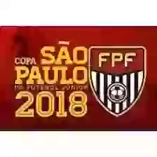 Copa Sao Paulo de Futebol Junior U14