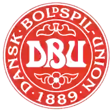 Giải đấu Dự bị