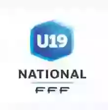 Giải vô địch quốc gia U19