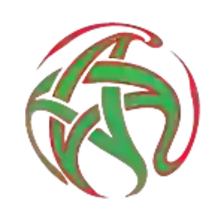 Чемпионат Марокко