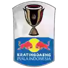 Cúp Indonesia