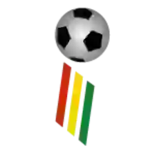 Liga Profesional