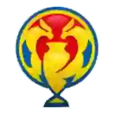 Cúp Romania